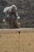 070620-A-2394G-056